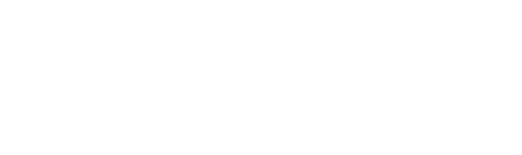 WithoutWire Logo